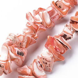 Natural Trochid Shell/Trochus Shell Bead Strands, Dyed, Nuggets, Light Salmon, 8~16x7~13x2~15mm, Hole: 1.2mm, about 39~46pcs/strand, 6.89 inch~7.28 inch(17.5~18.5cm)(SSHEL-N034-105-A02)