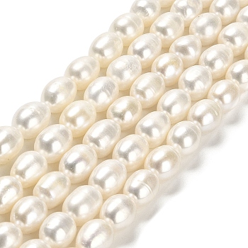 Natural Cultured Freshwater Pearl Beads Strands, Rice, Grade 3A, Floral White, 7~9x7~8mm, Hole: 0.6mm, about 37~38pcs/strand, 14.57~14.65 inch(37~37.2cm)