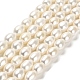Natural Cultured Freshwater Pearl Beads Strands(PEAR-E016-091)-1