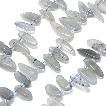 Natural Grey Moonstone Beads Strands, Nuggets, Top Drilled, with Seed Beads, 10~41.5x5~12x2~7mm, Hole: 0.8~1.2mm, 16.14~16.54''(41~42cm)