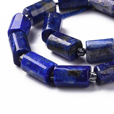 Chapelets de perles en lapis-lazuli naturel(G-S345-8x11-002)-3