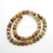Round Natural Crazy Lace Agate Beads Strands, 8mm, Hole: 1mm, about 47pcs/strand, 15.7 inch(X-G-P058C-01)
