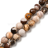 Natural Zebra Jasper Beads Strands, Faceted(128 Facets), Round, 6~7mm, Hole: 1mm, about 59~60pcs/strand, 14.96~15.16 inch(38~38.5cm)(G-C079-B01-01)