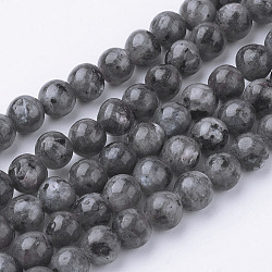 Natural Black Labradorite Bead Strands, Round, 6~6.5mm, Hole: 1mm, about 60pcs/strand, 14.9 inch(38cm)(G-G735-57-6mm)
