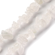 Natural White Jade Beads Strands, Chip, 3~16x3~8mm, Hole: 0.7mm, 32.28 inch(82cm)(G-F703-02A)