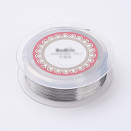 Steel Wire, Silver Color Plated, 0.15mm, about 1640.41 Feet(500m)/roll(TWIR-E001-0.15mm)