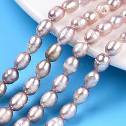 Natural Cultured Freshwater Pearl Beads Strands, Rice, Thistle, 7.2~8x5.5~6mm, Hole: 0.7~0.8mm, about 44~45pcs/strand, 13.58 inch(34.5cm)(PEAR-N012-05P)