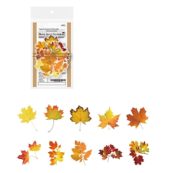 Autumn Leaf PET Sticker Labels, Self-adhesion, for Suitcase, Skateboard, Refrigerator, Helmet, Mobile Phone Shell, Gold, 70~100mm, 10pcs/set