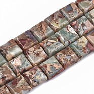 Natural Aqua Terra Jasper Beads Strands, Square, 10x10x4.5mm, Hole: 1.4mm, about 40pcs/strand, 15.75 inch(40cm)(G-S366-018B)