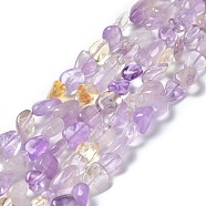 Natural Ametrine Beads Strands, Nuggets, 8~18x6~10x4~8mm, Hole: 1mm, about 30~48pcs/strand, 15.35~15.55 inch(39~39.5cm)(G-I351-B11)