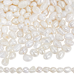 2 Strands Natural Cultured Freshwater Pearl Beads Strands, Baroque Pearls Keshi Pearl Beads, Two Sides Polished, Creamy White, 3.8~4.5x3~4x2.5~3mm, Hole: 0.5mm, about 44pcs/strand, 6.89~7.17 inch(17.5~18.2cm)(PEAR-SC0001-35)