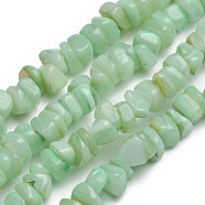 Shell Beads Strands, for Jewelry Making, DIY Crafts, Dyed, Nuggets Chips, Lawn Green, 6.2x6.2x1.3mm, Hole: 0.8mm, about 107pcs/strand, 15.16 inch(38.5cm)(BSHE-G026-02B)