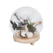 Glass Dome Cover, Ball-Shaped Handle Decorative Display Case, Cloche Bell Jar Terrarium with Wood Base, Tan, Finish Product:150x160mm(AJEW-WH0401-76B)