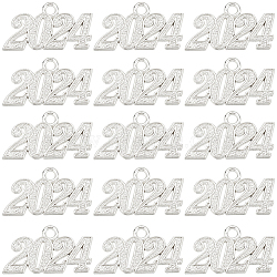 SUNNYCLUE 50Pcs Alloy Charms, Number 2024, Platinum, 18~19x32~33x2mm, Hole: 3mm(FIND-SC0007-04P)