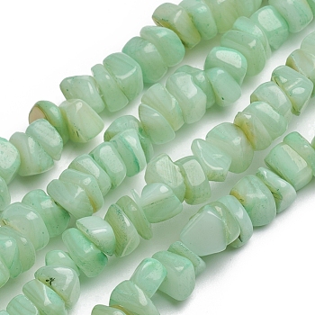 Shell Beads Strands, for Jewelry Making, DIY Crafts, Dyed, Nuggets Chips, Lawn Green, 6.2x6.2x1.3mm, Hole: 0.8mm, about 107pcs/strand, 15.16 inch(38.5cm)