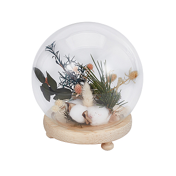 Glass Dome Cover, Ball-Shaped Handle Decorative Display Case, Cloche Bell Jar Terrarium with Wood Base, Tan, Finish Product:150x160mm