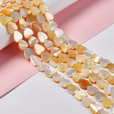 Natural Yellow Shell Beads Strands(SHEL-F003-01B)-2