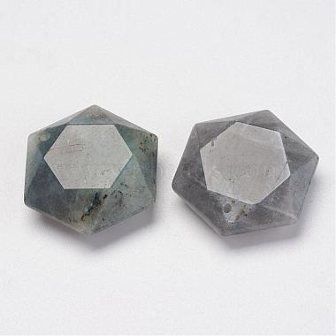 Natural Labradorite Pendants(G-P264-01)-2
