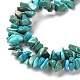 Natural Turquoise Chip Beads Strands(G-D093-A01)-4