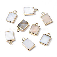 Natural Freshwater Shell Charms, with Golden Plated Iron Loops and Brass Edge, Rectangle, 14x8x3mm, Hole: 1.8mm(SHEL-N026-147)