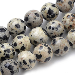 Natural Dalmatian Jasper Beads Strands, Round, 10mm, Hole: 1mm, about 38pcs/strand, 15.7 inch(X-G-S259-24-10mm)