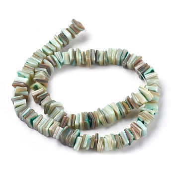 Freshwater Shell Beads Strands, Dyed, Square Heishi Beads, Green, 8~9x7.5~8x1~4mm, Hole: 0.5mm, 15.2~15.3 inch(38.5~39cm)