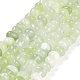 Natural New Jade Beads Strands(G-G053-C02-01)-1