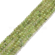 Natural Green Jade Beads Strands, Faceted, Round, 2.5mm, Hole: 0.6mm, about 180pcs/strand, 15.35''(39~39.6cm)(G-D463-13A)
