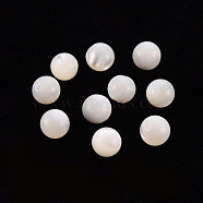 Natural Trochid Shell/Trochus Shell Beads, Half Drilled, Round, Seashell Color, 6mm, Hole: 1mm(SSHEL-T014-29C)