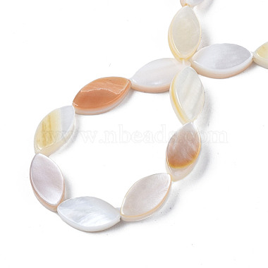 Eau douce naturelle de coquillage perles brins(SHEL-Q024A-017)-2