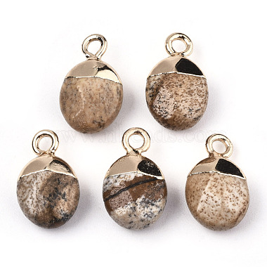Natural Picture Jasper Charms(G-N326-58D)-2