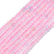 Natural Morganite Beads Strands, Faceted, Rondelle, 2~2.5x2mm, Hole: 0.5mm, about 223~226pcs/strand, 14.96~15.16 inch(38~38.5cm)(G-G106-A21-01)