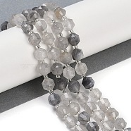 Natural Cloudy Quartz Beads Strands, Faceted, Bicone, Double Terminated Point Prism Beads, 8x7mm, Hole: 1.2mm, about 40pcs/strand, 15.16''(38.5cm)(G-O201B-115F)