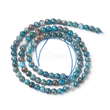 Natural Apatite Beads Strands(X-G-L554-01-4mm)-3