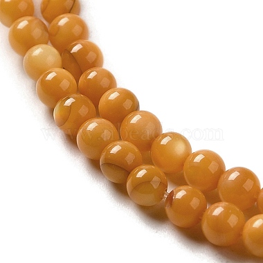 eau douce naturelle de coquillage perles brins(SHEL-H003-03E)-3