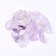 Natural Amethyst Beads, Undrilled/No Hole, Chips, 6~29x3~10x2~8mm, about 100g/bag(G-I221-17)