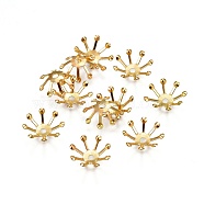 Iron Bead Caps, Multi-Petal, Flower, Golden, 11x3mm, Hole: 1.5mm(X-IFIN-P016-07G)