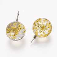 Glass Pendants, with Dry Flower and Brass Findings, Platinum, Round, Gold, 30.5x19.5x17.5mm, Hole: 3x5mm(GLAA-P030-02)