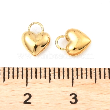 304 Stainless Steel Charms(X-STAS-A089-29G)-3