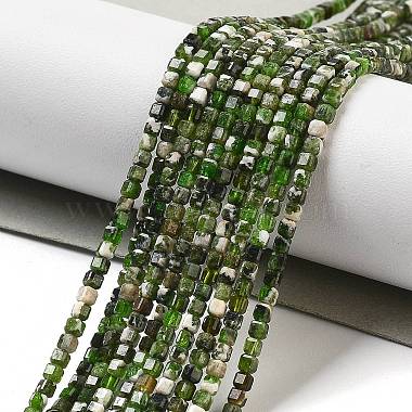 Natural Diopside Beads Strands(X-G-G161-C23-01)-2