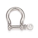 Alloy D-Ring Anchor Shackle Clasps(PALLOY-L169-08)-1
