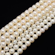 Natural Cultured Freshwater Pearl Beads Strands, Round, Creamy White, 10~11mm, Hole: 0.8mm, about 42pcs/strand, 14.96 inch~15.74 inch(PEAR-L001-I-13)