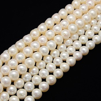 Natural Cultured Freshwater Pearl Beads Strands, Round, Creamy White, 10~11mm, Hole: 0.8mm, about 42pcs/strand, 14.96 inch~15.74 inch
