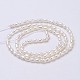 Natural Cultured Freshwater Pearl Beads Strands(PEAR-P002-45-01)-2