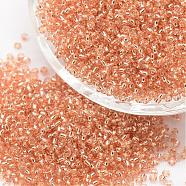 6/0 Transparent Glass Round Seed Beads, Grade A, Silver Lined, PeachPuff, 3.6~4.0mm, Hole: 1.2mm, about 5000pcs/pound(SEED-J010-F6-L36)