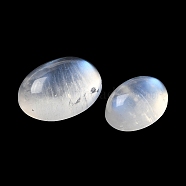 Natural Rainbow Moonstone Cabochons, Grade AA, Oval, 15~20x11~15x6~8mm(G-NH0026-01A)