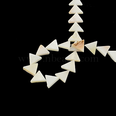 Triangle Natural Sea Shell Beads Strands(SSHEL-F290-11)-2