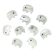 10Pcs Natural Trochid Shell/Trochus Shell Beads, Elephant, Seashell Color, 9.5x11x2~3mm, Hole: 0.8mm(SSHEL-CJ0001-16)
