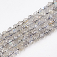 Natural Labradorite Beads Strands, Faceted, Round, 3.5mm, Hole: 0.6mm, about 113pcs/strand, 15.7 inch(G-T107-14)