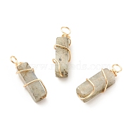 Natural Labradorite Pendants, with Golden Tone Copper Wire Wrapped, Cuboid, 19~20x6x6mm, Hole: 2.5~3mm(PALLOY-JF01581-01)
